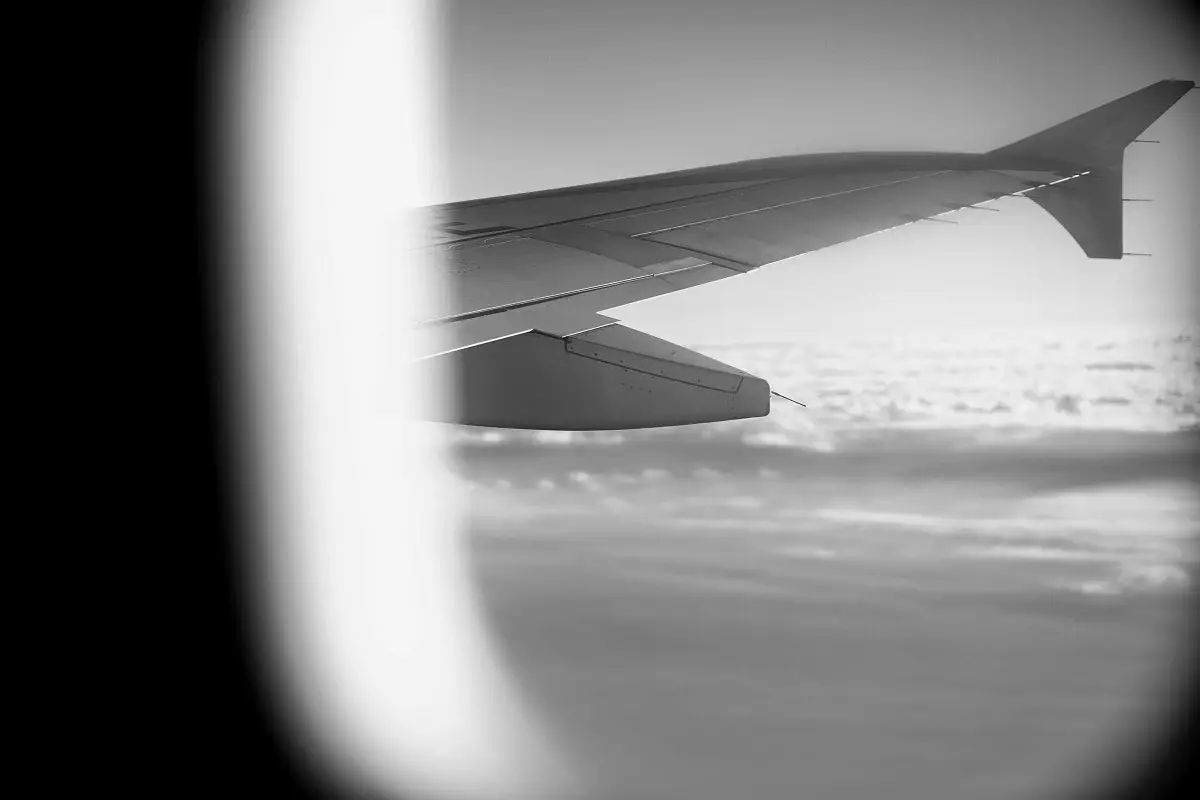 Unsplash (Octav Cado)