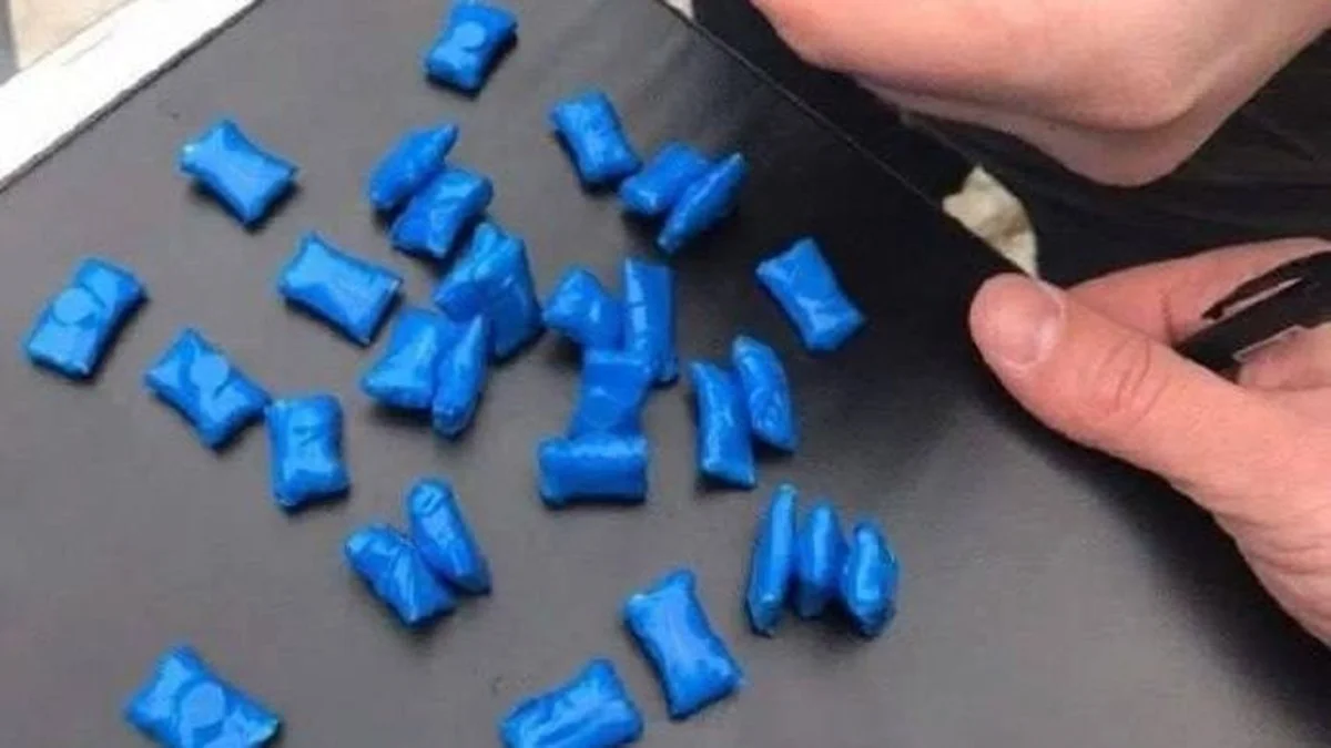 Фото: Polisia.kz