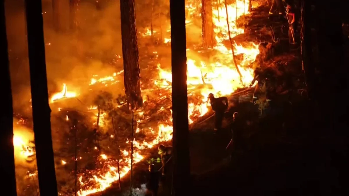 Видеодан кадр