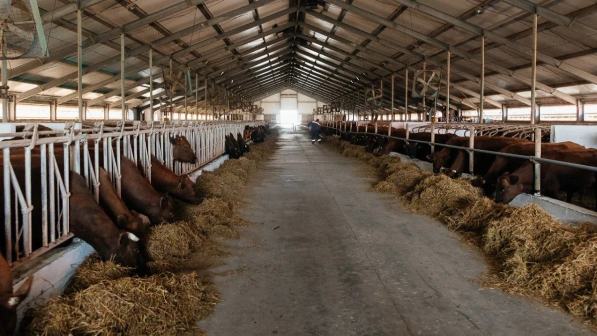 Фото: пресс-служба Правительства РК