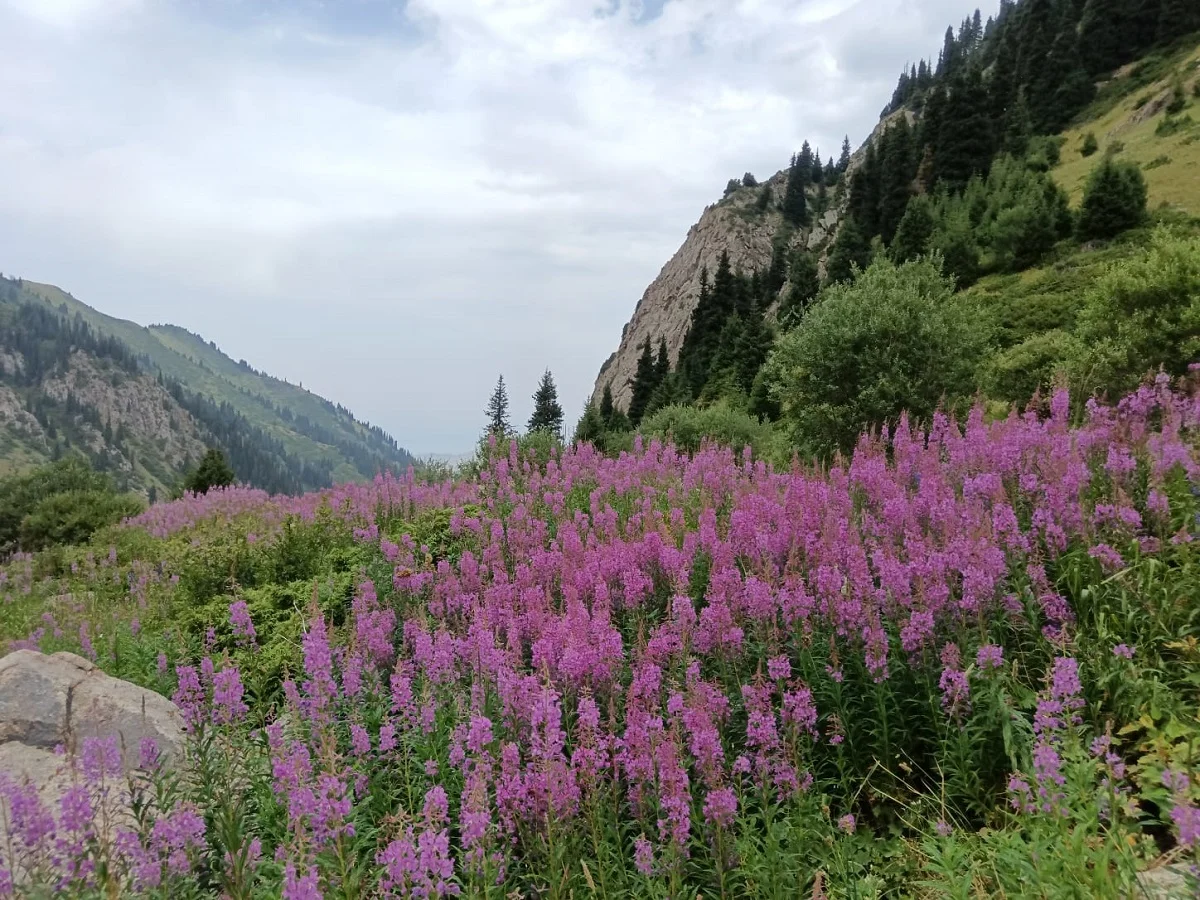 фото Victor Glutsenko