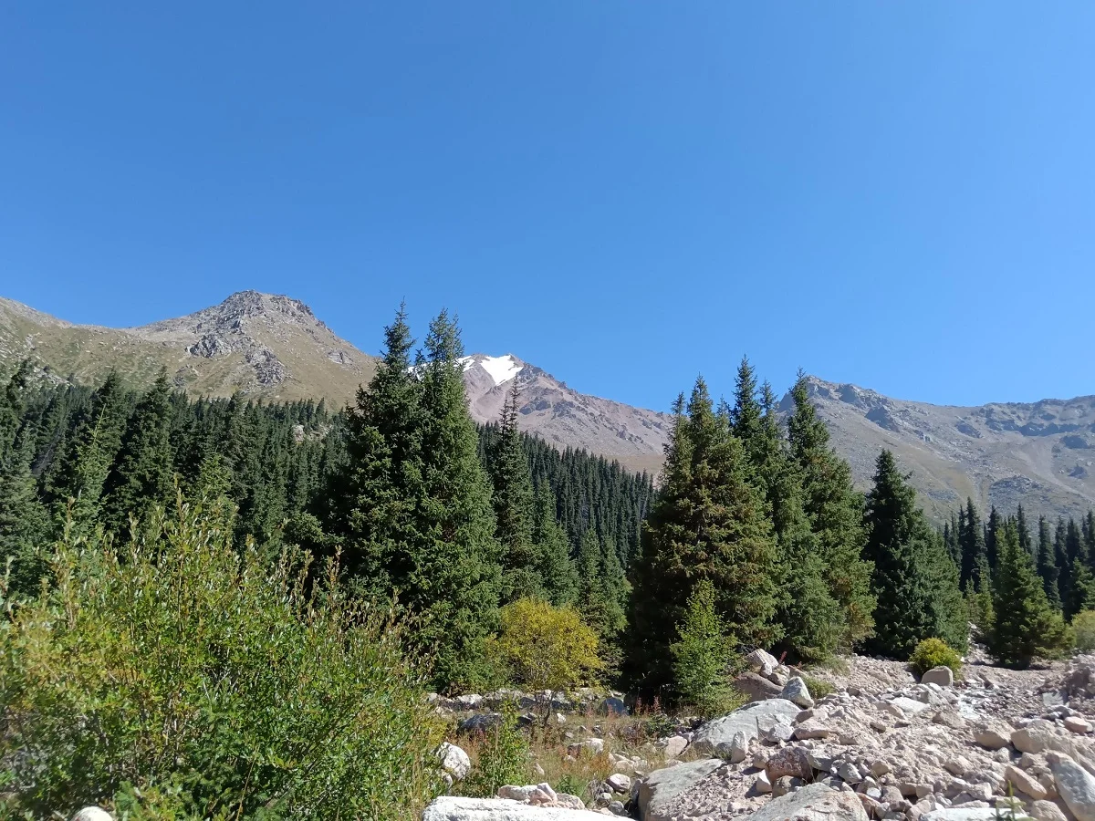 фото Victor Glutsenko