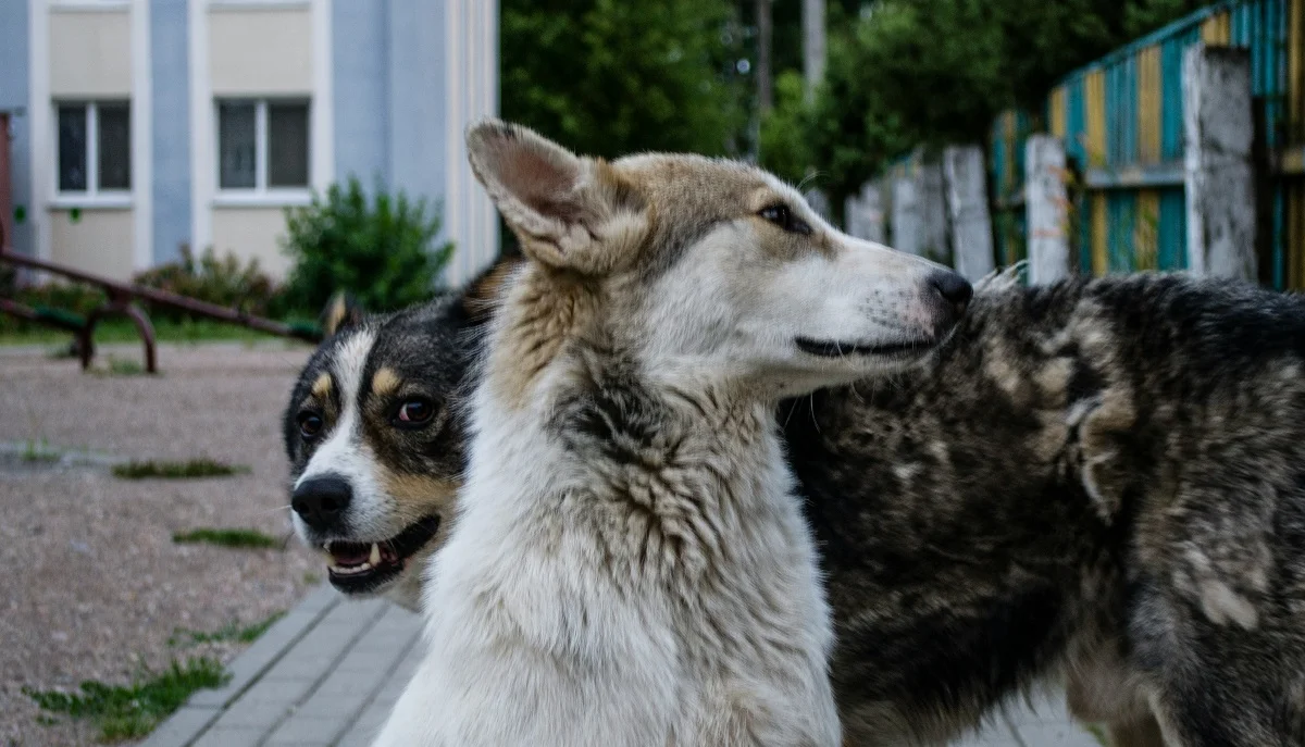 Eugene Lazovsky/unsplash.com