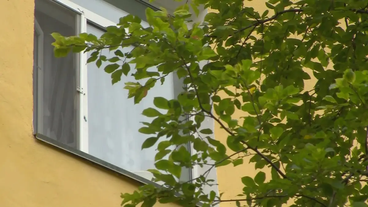Almaty.tv