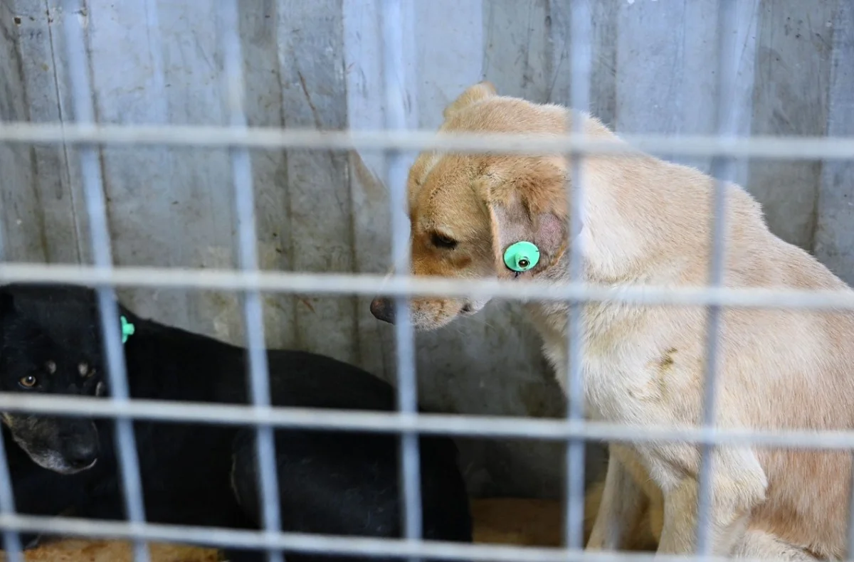 Алматы қаласы әкімдігінің баспасөз қызметі