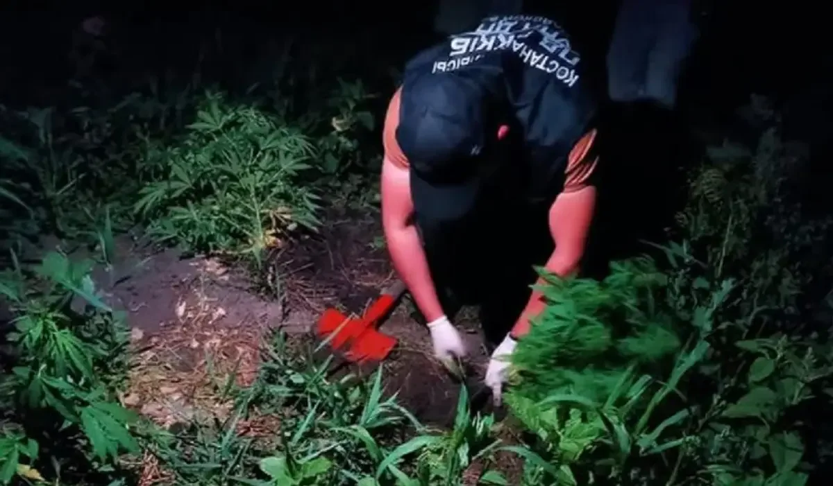 Қостанай облысы ПД