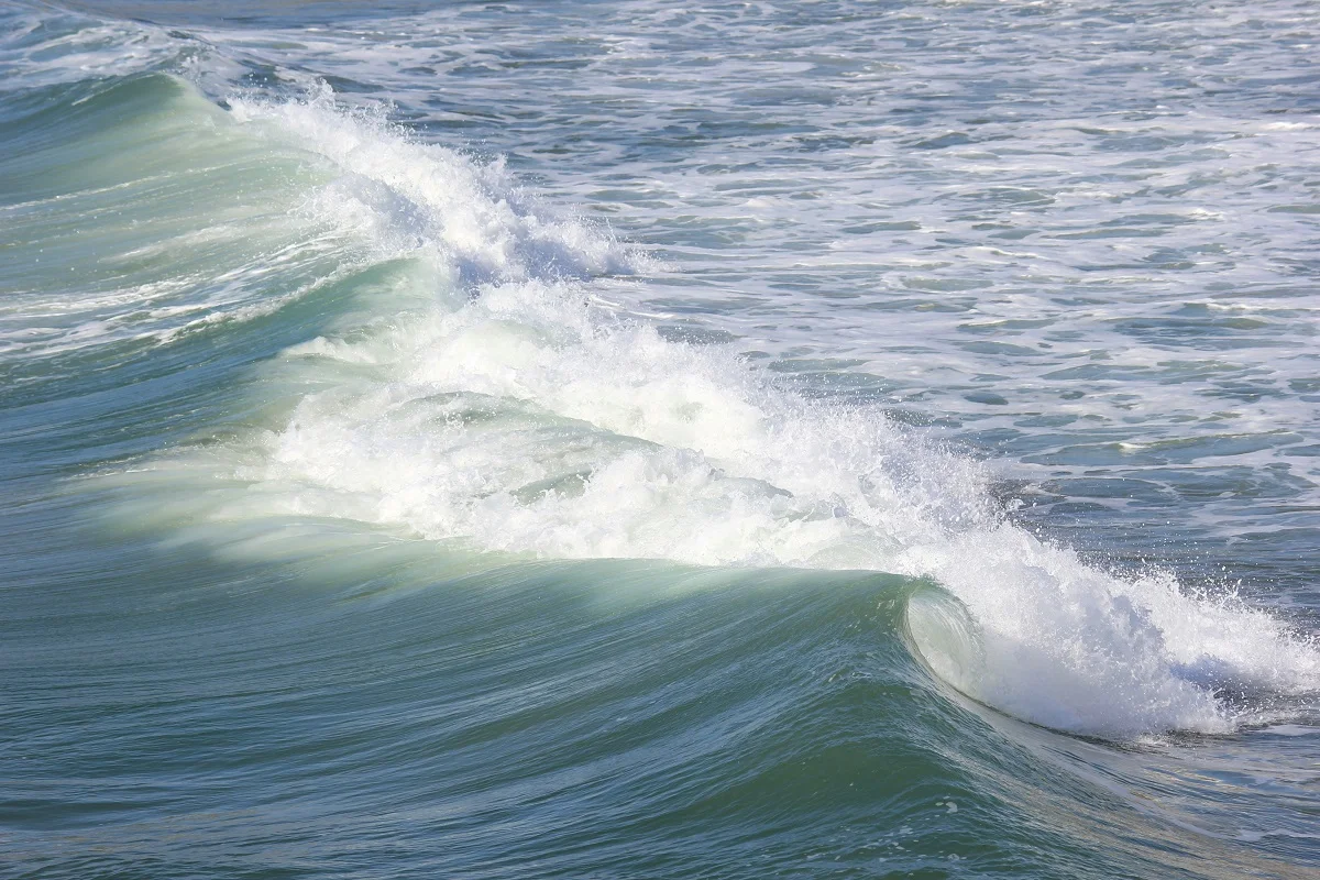 The frolicsome Fairy/ unsplash.com/