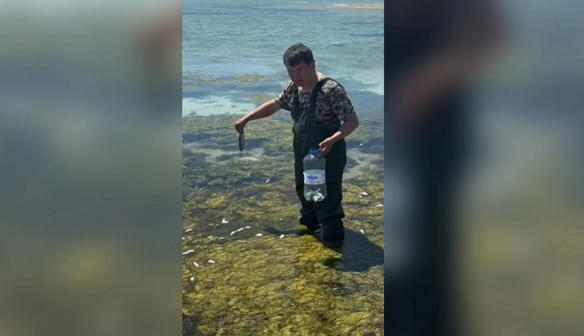 instagram.com/mangystau_ecology_department