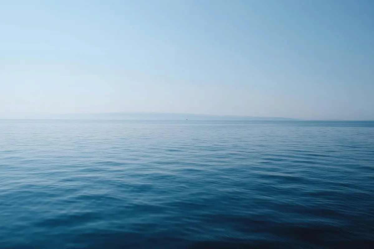 Thomas Vimare/ /unsplash.com/