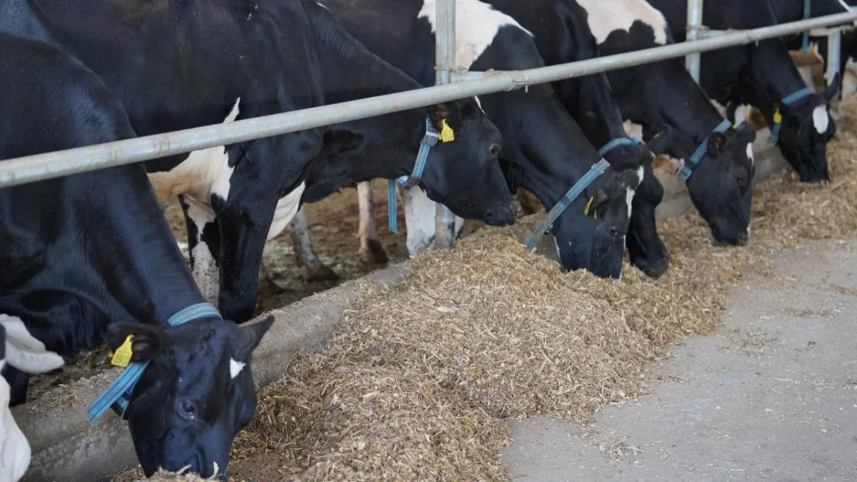 Фото: пресс-служба Правительства РК