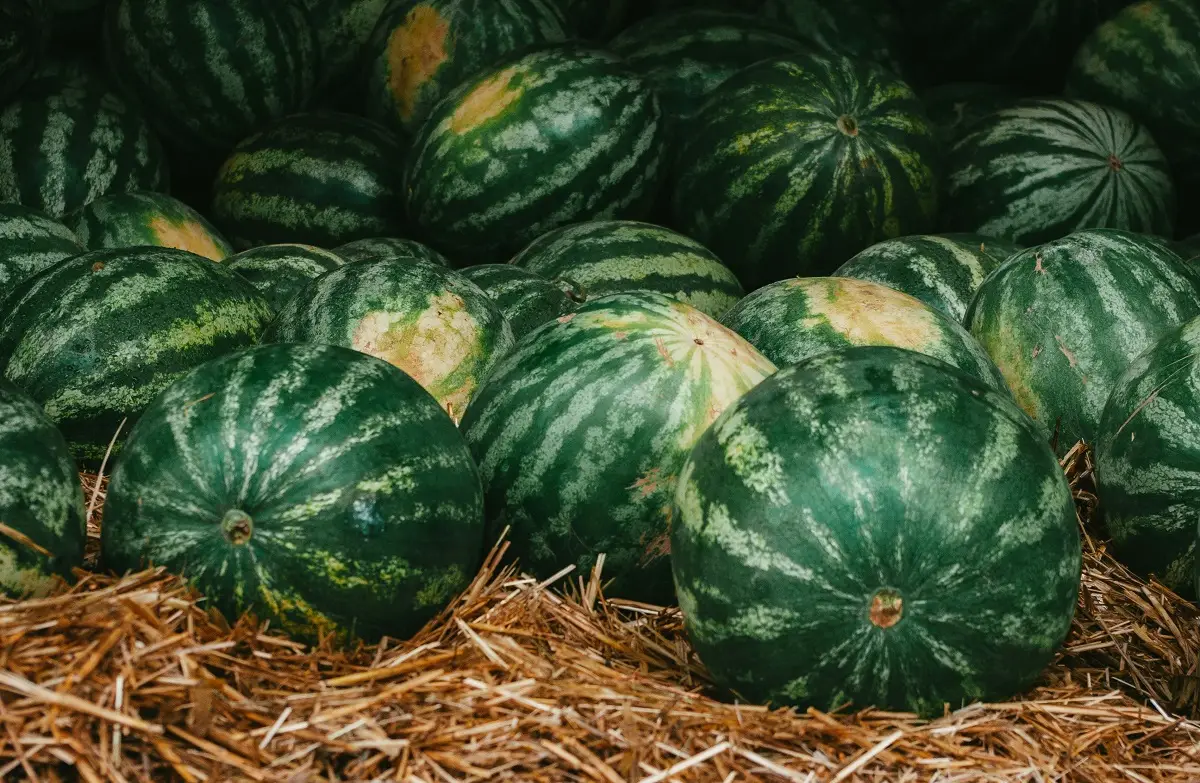Photo by Summer Rune on Unsplash