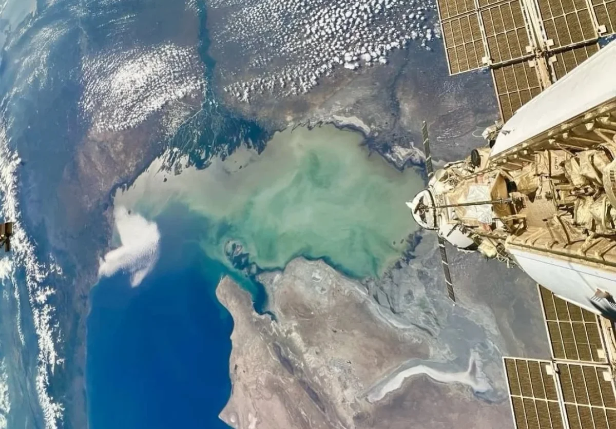 Олег Артемьев