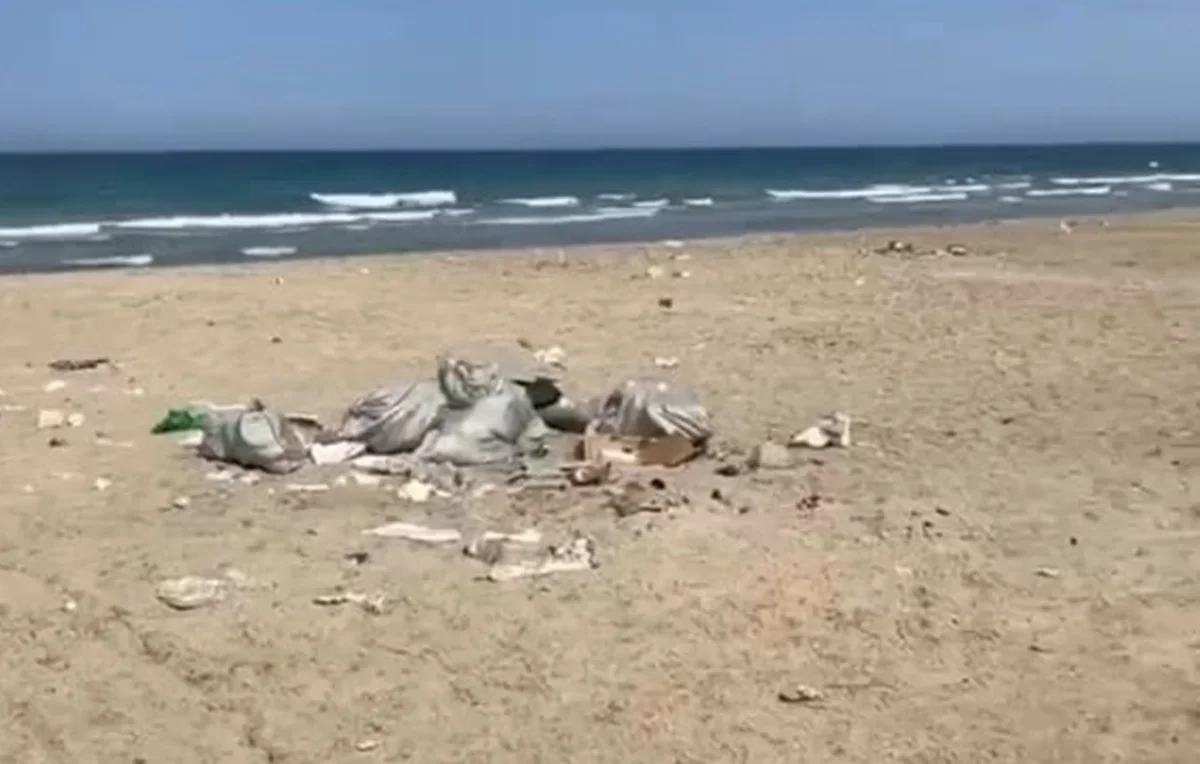 Видеодан кадр