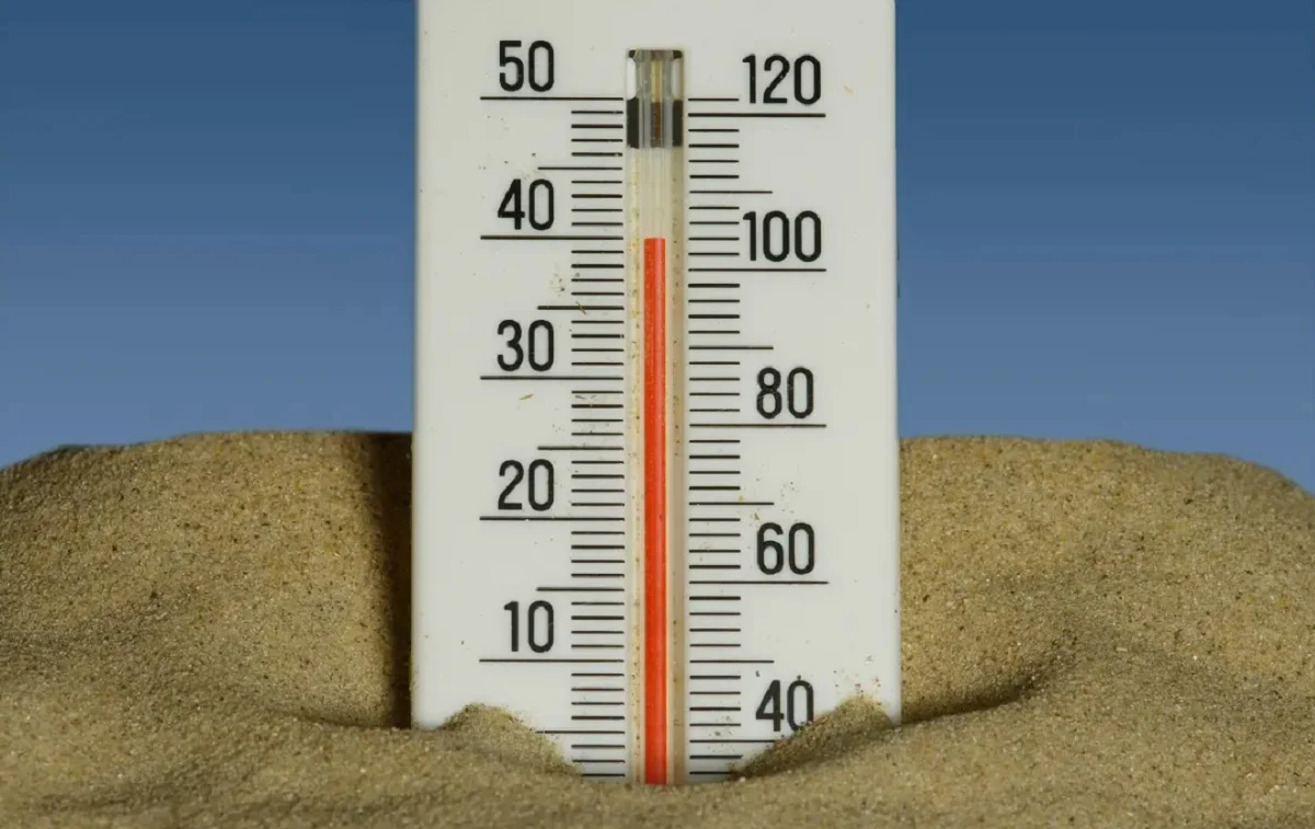 Immo Wegmann/unsplash.com/