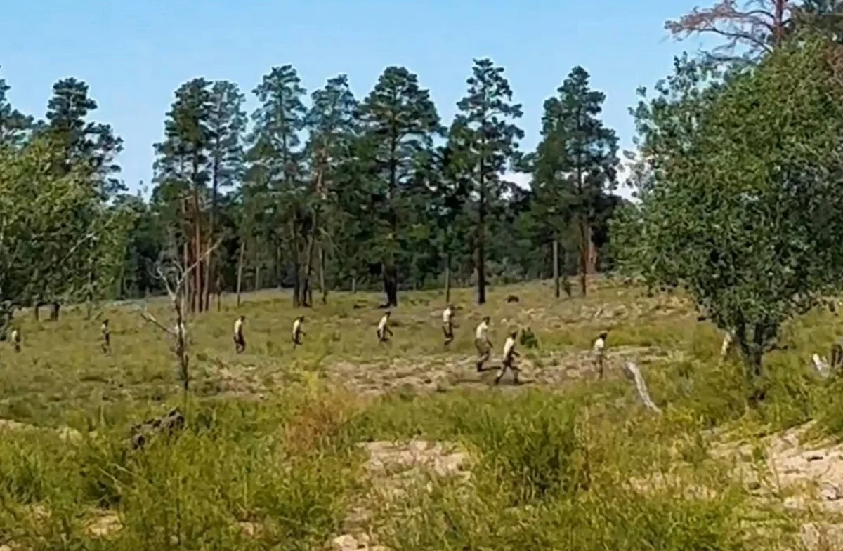 Абай облыстық ПД баспасөз қызметі