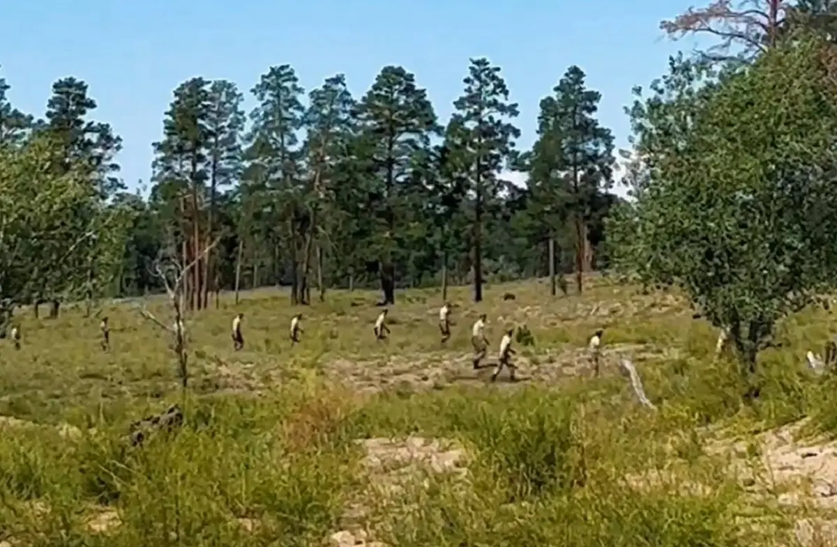 Абай облыстық ПД баспасөз қызметі