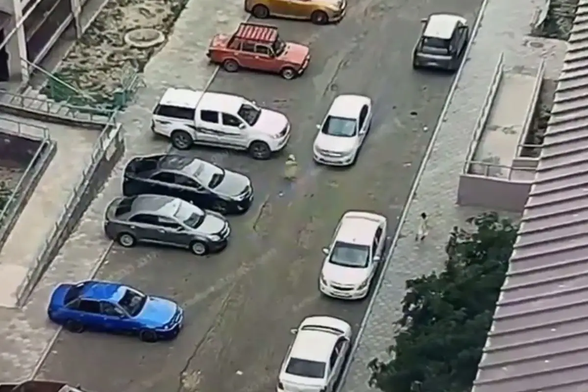 Кадр из видео