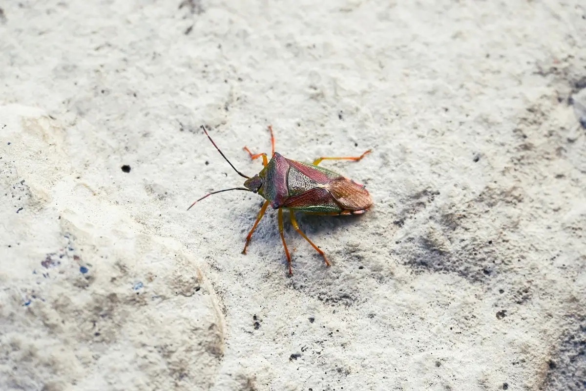 Photo by Victoria Kurcheva on Unsplash