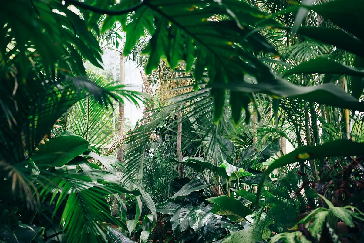 Photo by Chris Abney on Unsplash