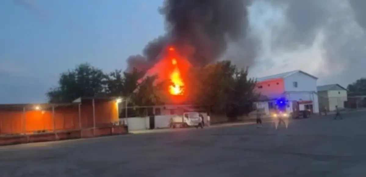 стоп кадр