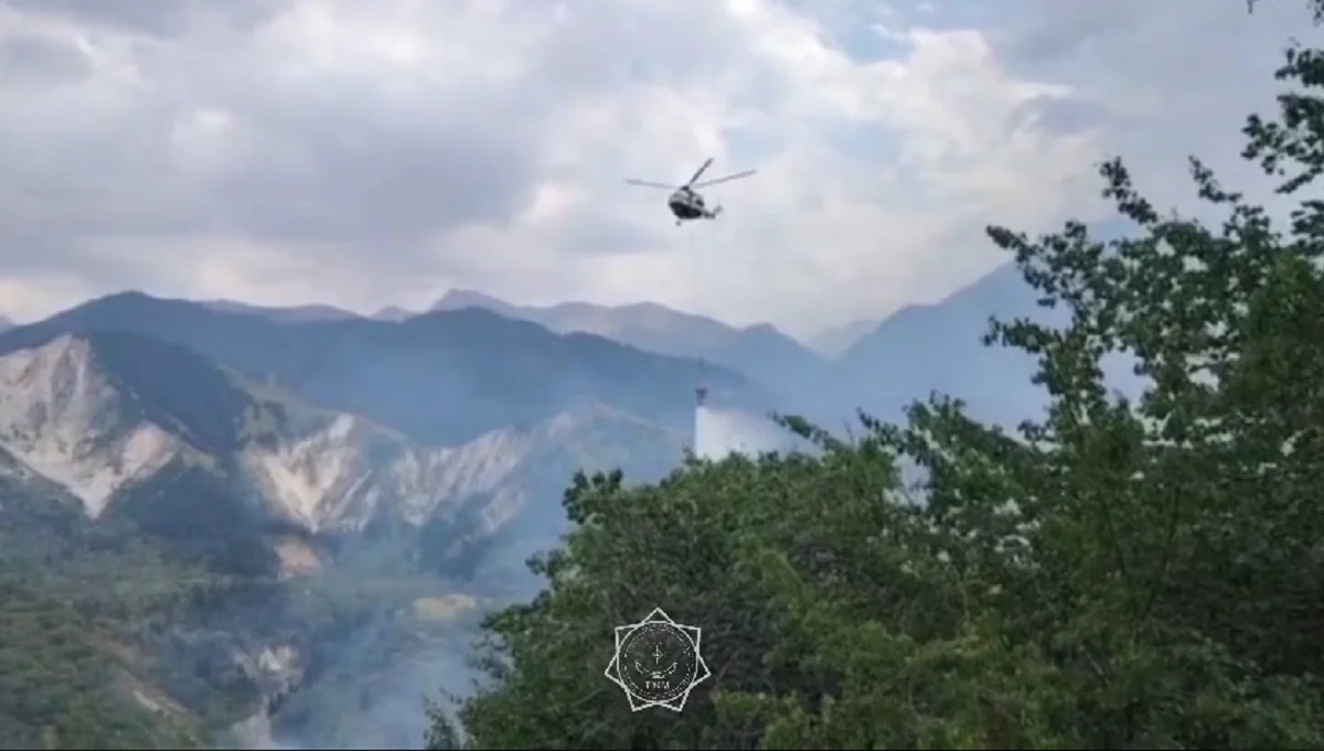 Видеодан кадр