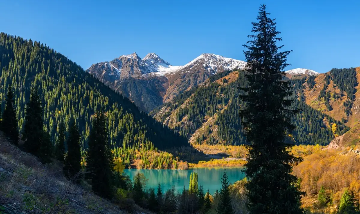 Depositphotos