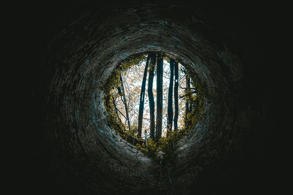 Photo by Martin Baron on Unsplash