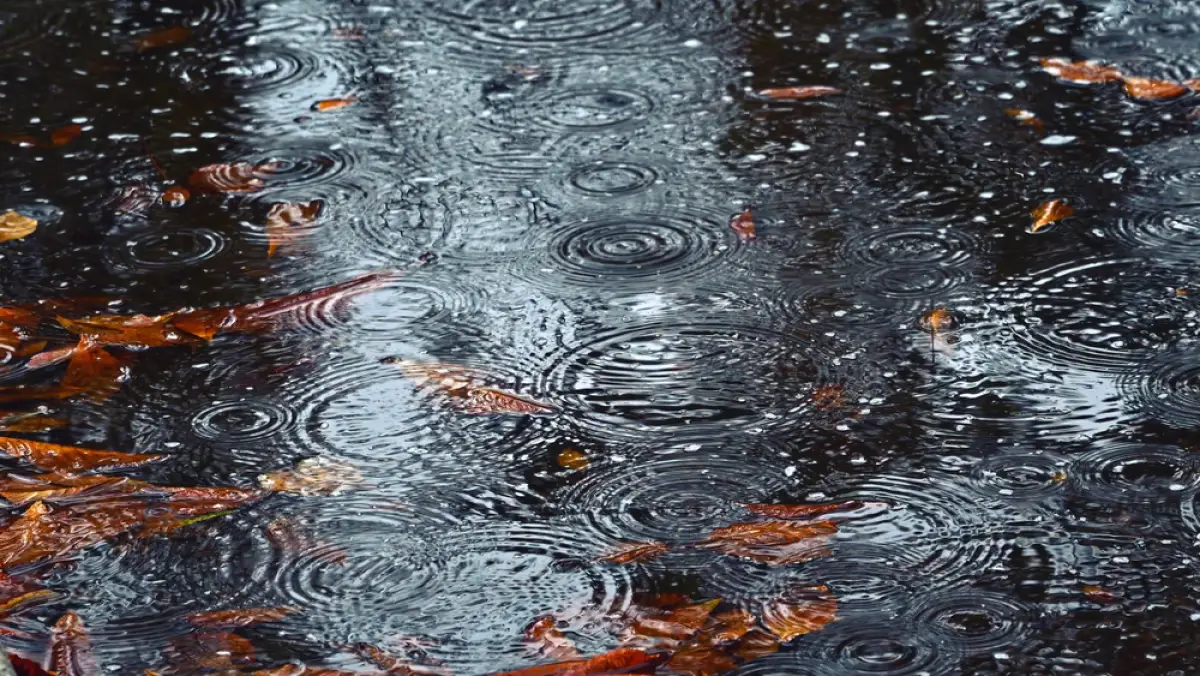 Depositphotos