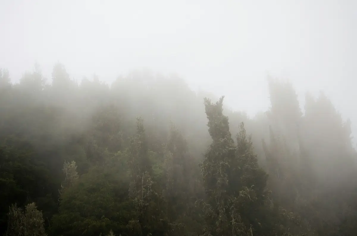 Pedro Romero/ unsplash.com/