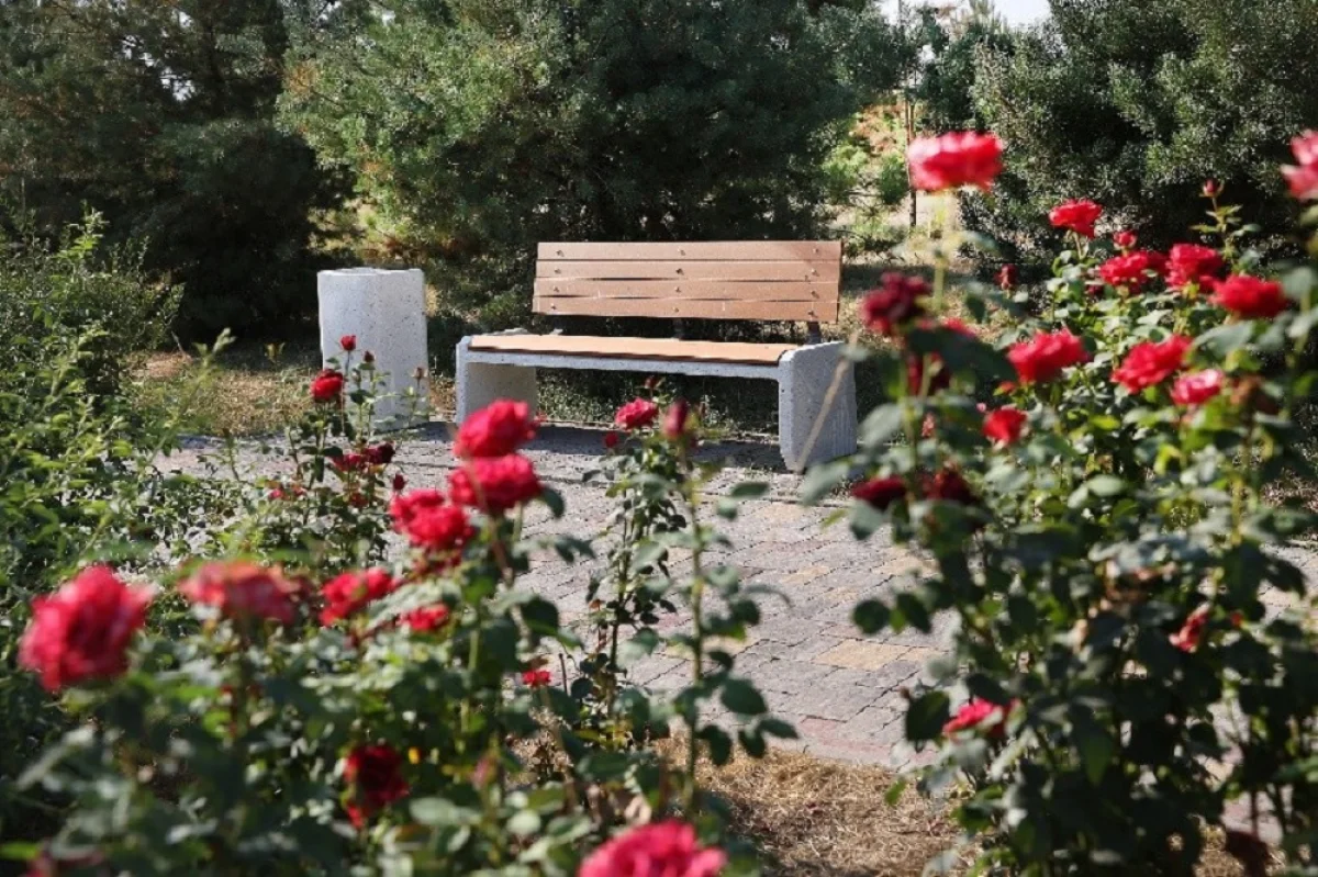 пресс-служба акима Алматы