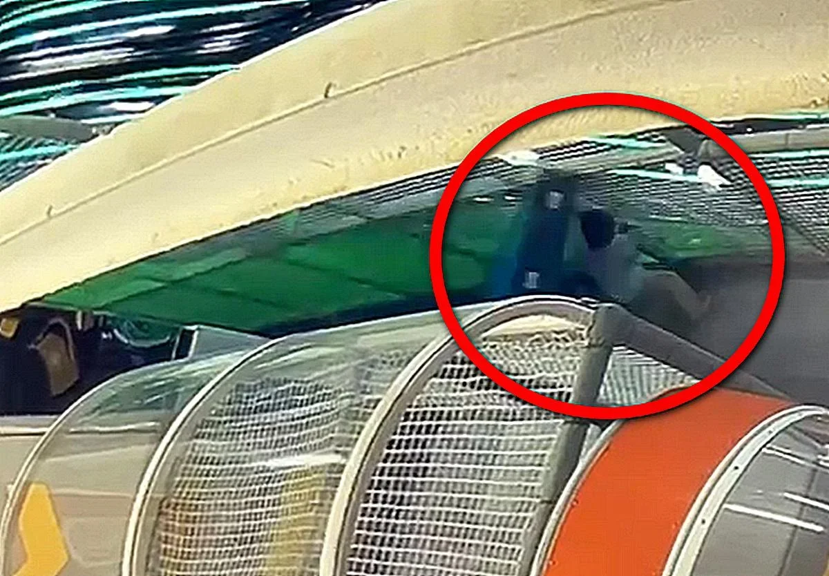 Видеодан кадр