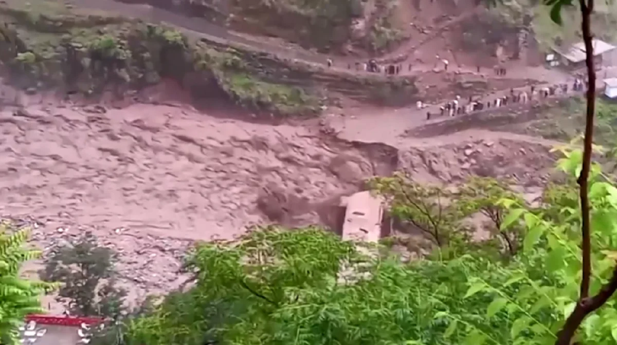 Видеодан кадр