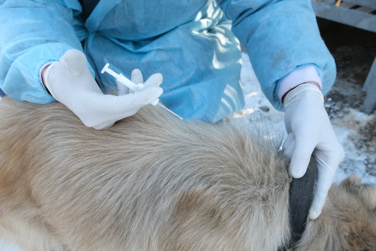 Қала әкімдігінің баспасөз қызметі