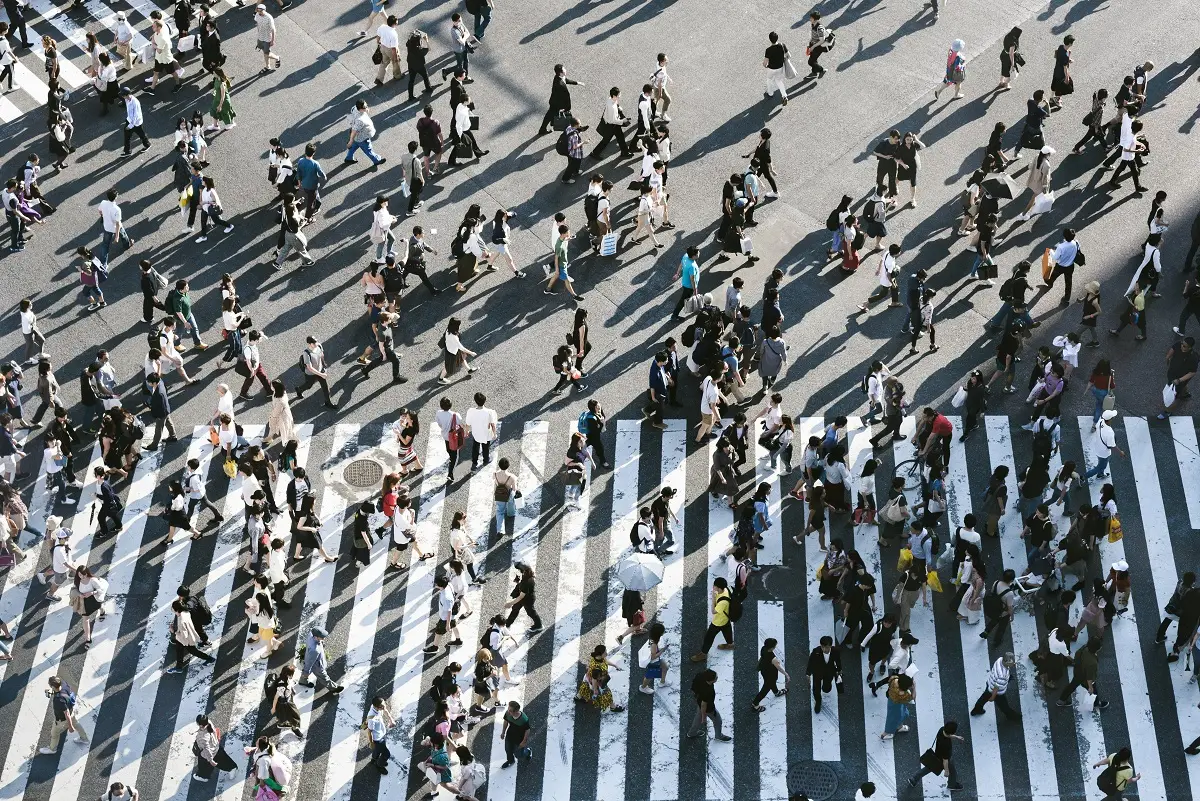 Ryoji Iwata/ unsplash.com/