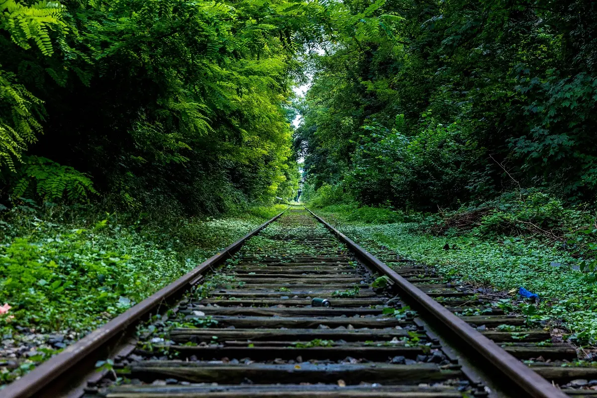 Antoine Beauvillain/ unsplash.com/
