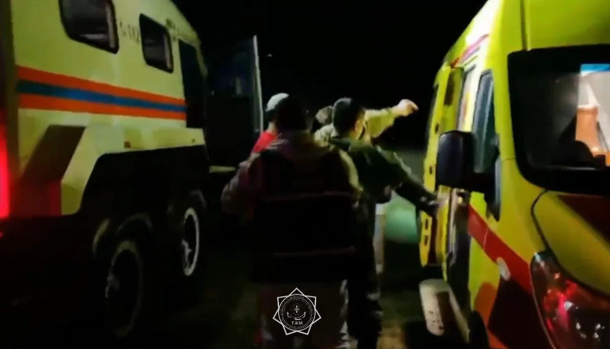 Видеодан кадр