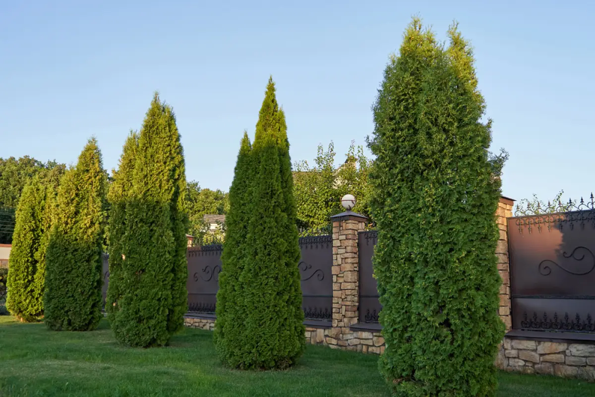 Depositphotos