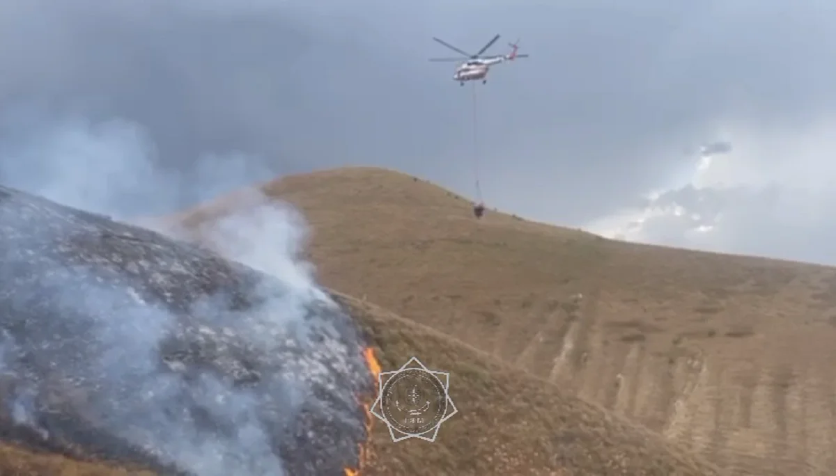 Видеодан кадр