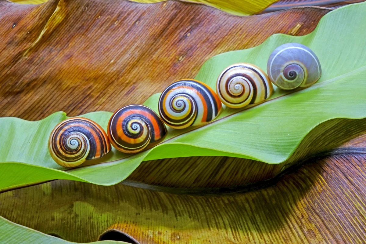 Фото: depositphotos.com