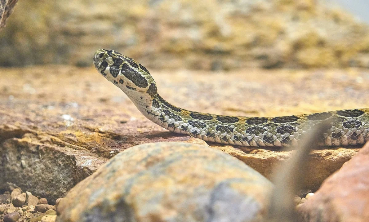 Photo by Dan LeFebvre on Unsplash