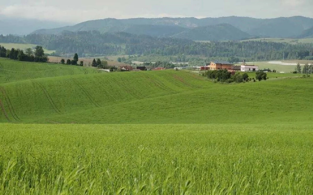 Жамбыл облысының прокуратурасының баспасөз қызметі