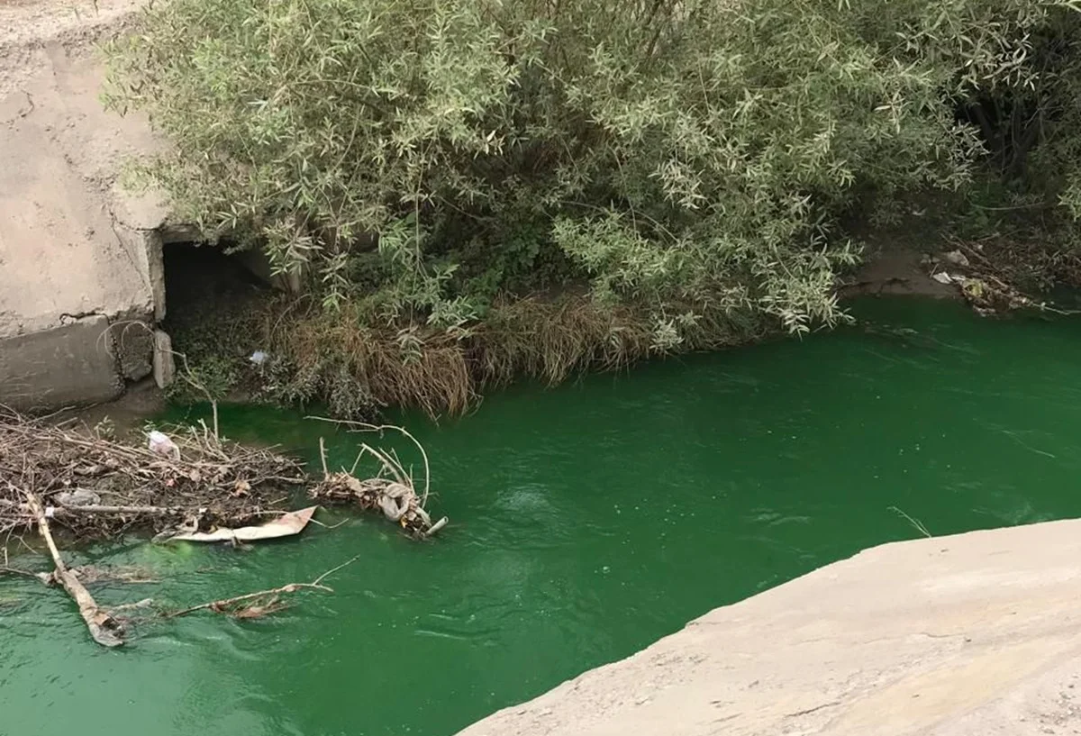 Фото: пресс-служба акима Алматы