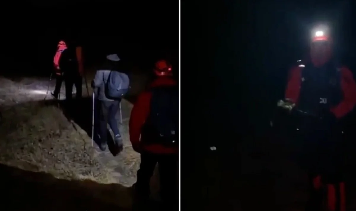 Видеодан кадр