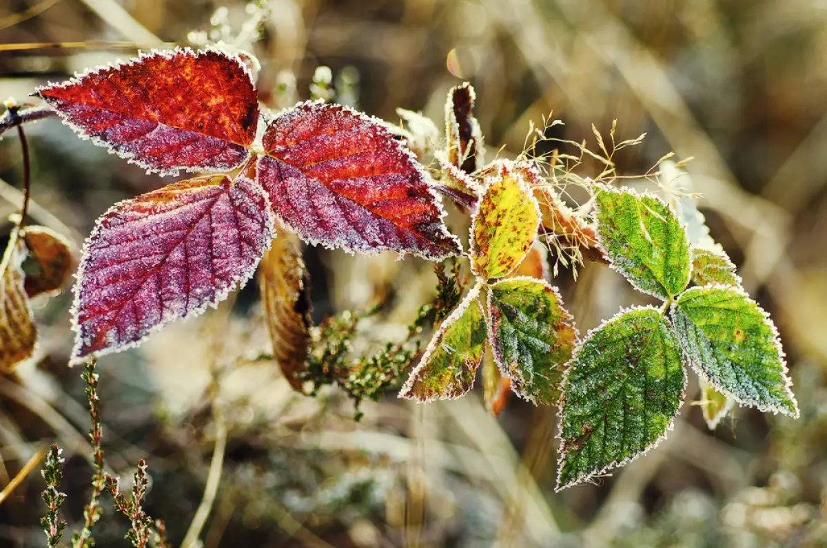 Depositphotos