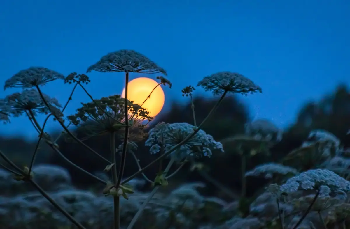 Depositphotos.com