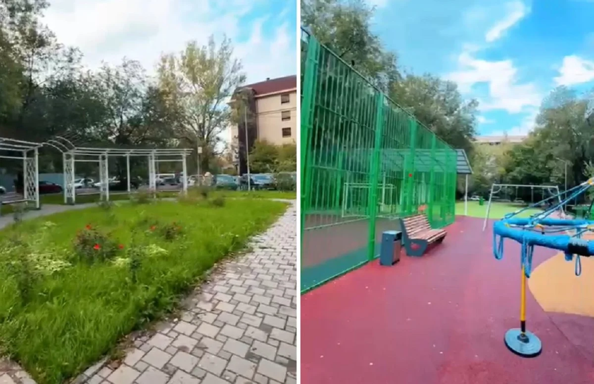 Видеодан кадр