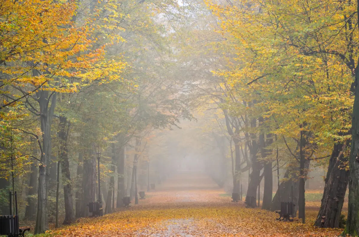Depositphotos