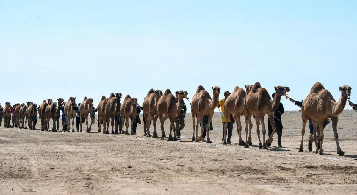 пресс-служба акимата Алматинской области