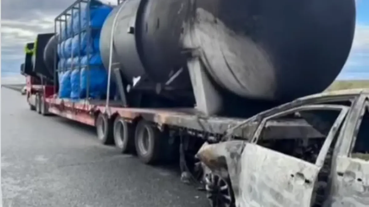 Видеодан кадр