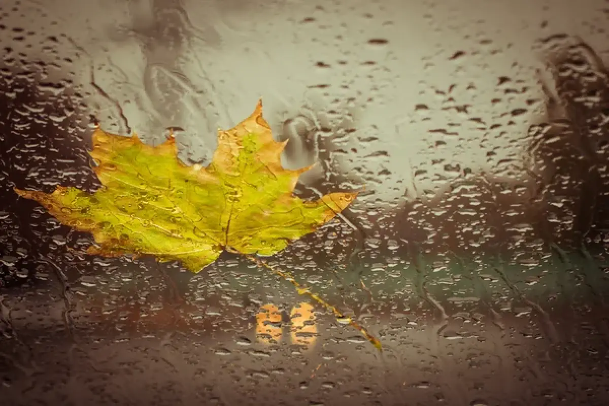 Depositphotos